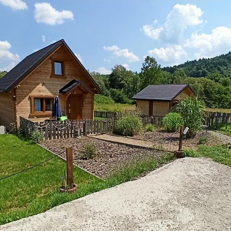 Willa Dolina Rosy Ustrzyki Dolne Zewnętrze zdjęcie
