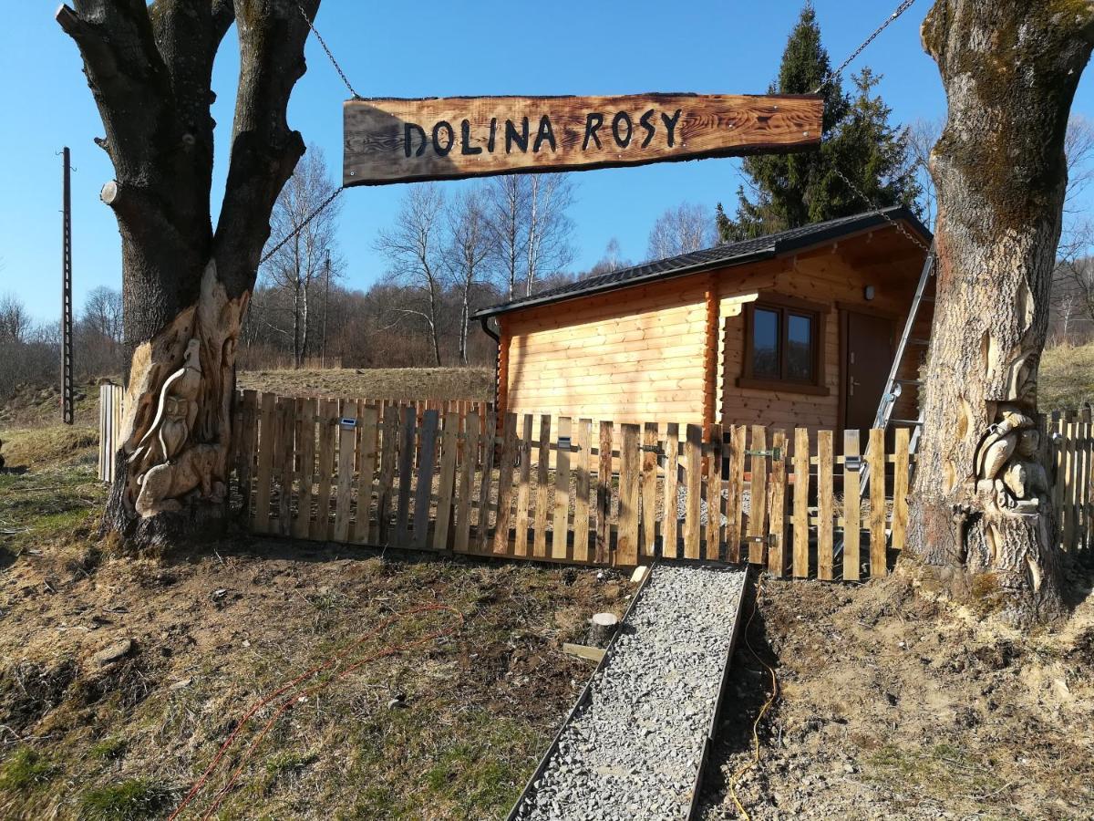 Willa Dolina Rosy Ustrzyki Dolne Zewnętrze zdjęcie