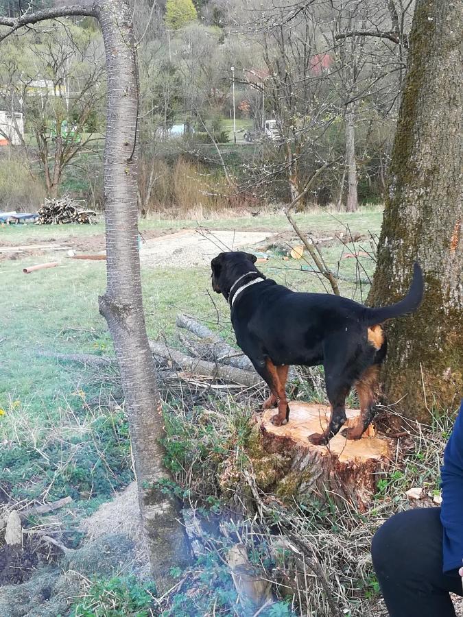 Willa Dolina Rosy Ustrzyki Dolne Zewnętrze zdjęcie